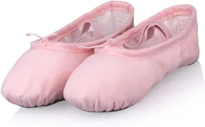 Ballet Shoes 2 Pairs Professional Child Girls Kids Cotton Canvas Soft Ballet Dance Practice Shoes Dance Slippers for Girls Toddlers Women.Pink-27 EU